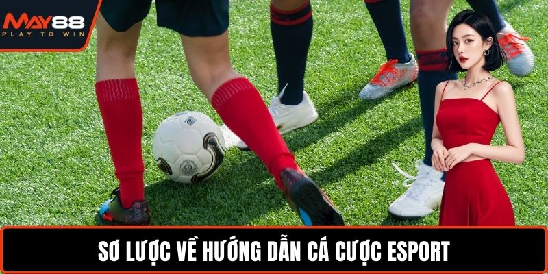 Hướng Dẫn Cá Cược Esport - Bí Quyết Chọn Kèo Chuẩn Xác Sơ lược về hướng dẫn cá cược Esport